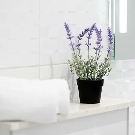 Apartament Marinela